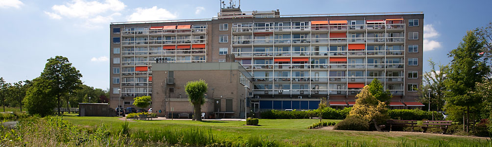 Stadsfenne